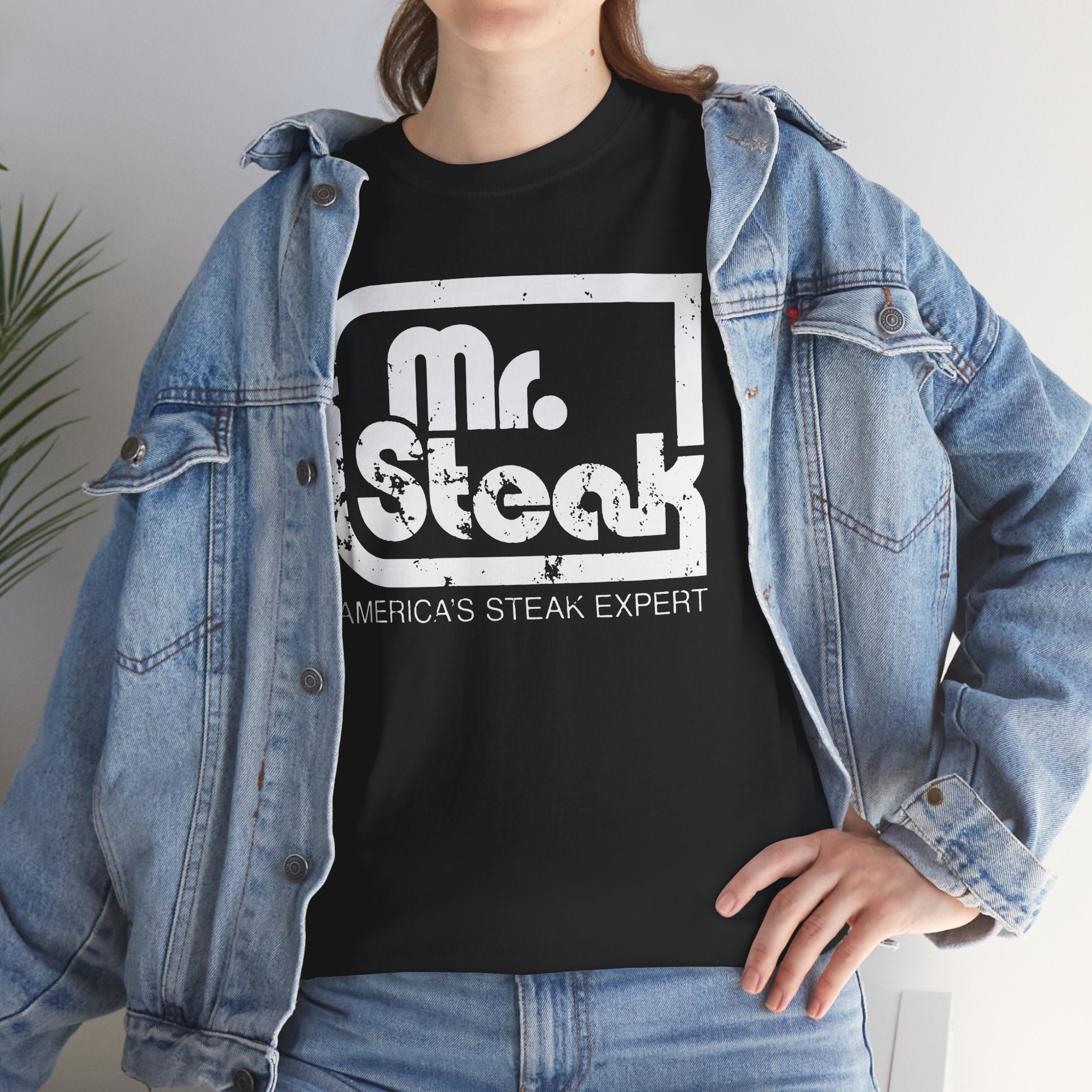 Mr Steak