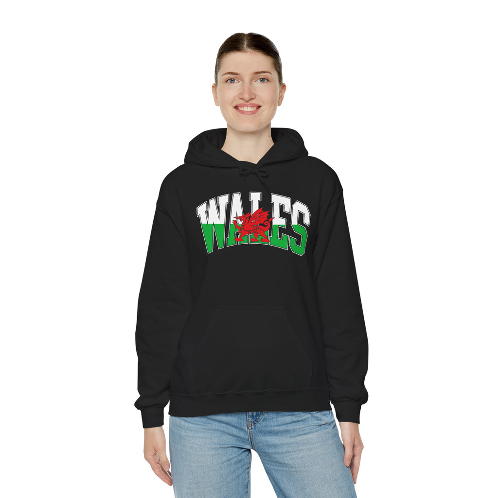 Wales Retro Logo — Bold City Pride Pullover