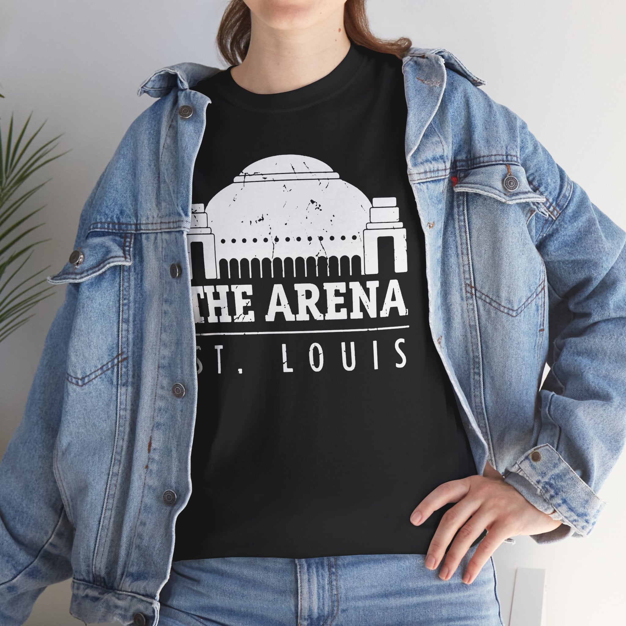 The Arena ST.Louis