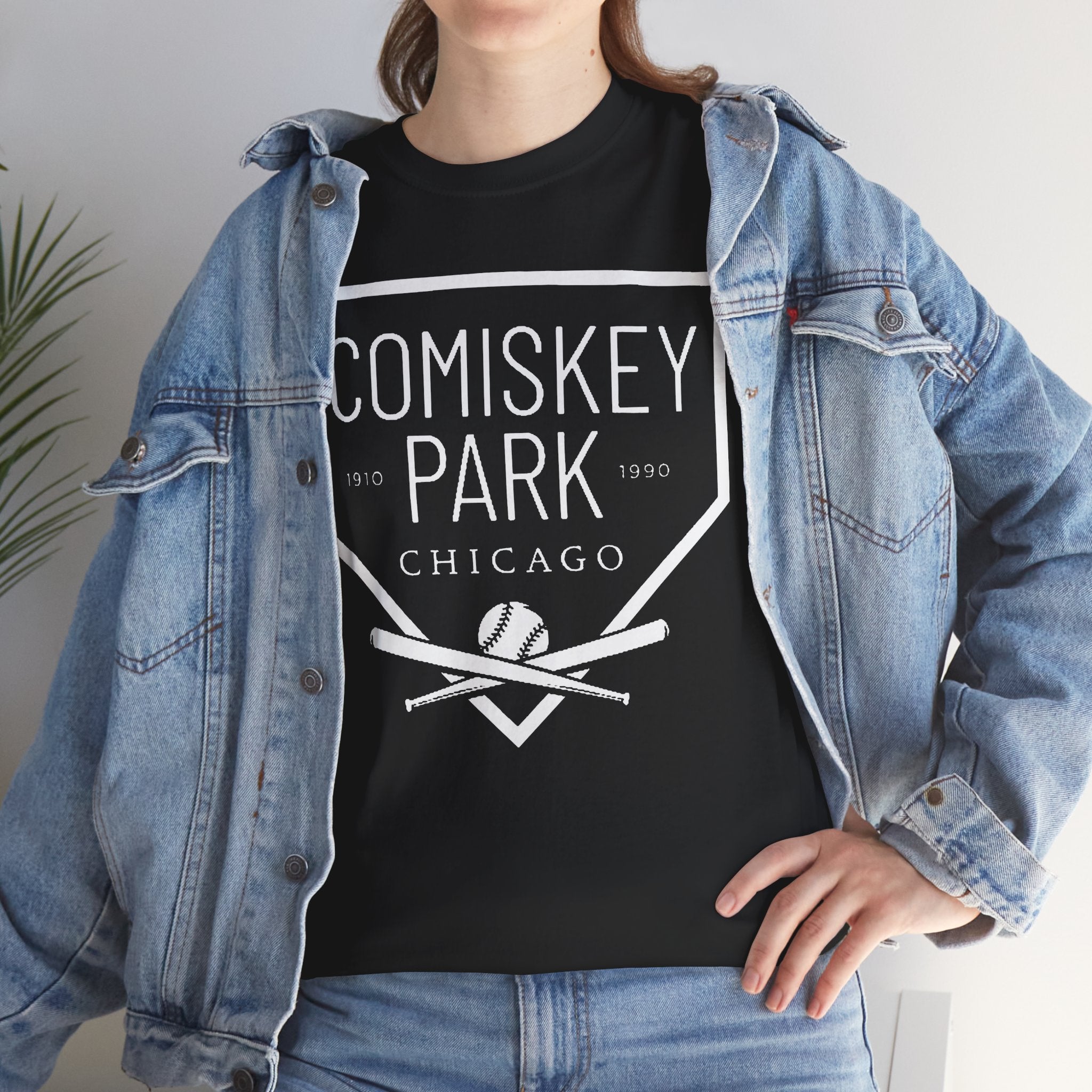 Comiskey Chicago Park Retro Logo