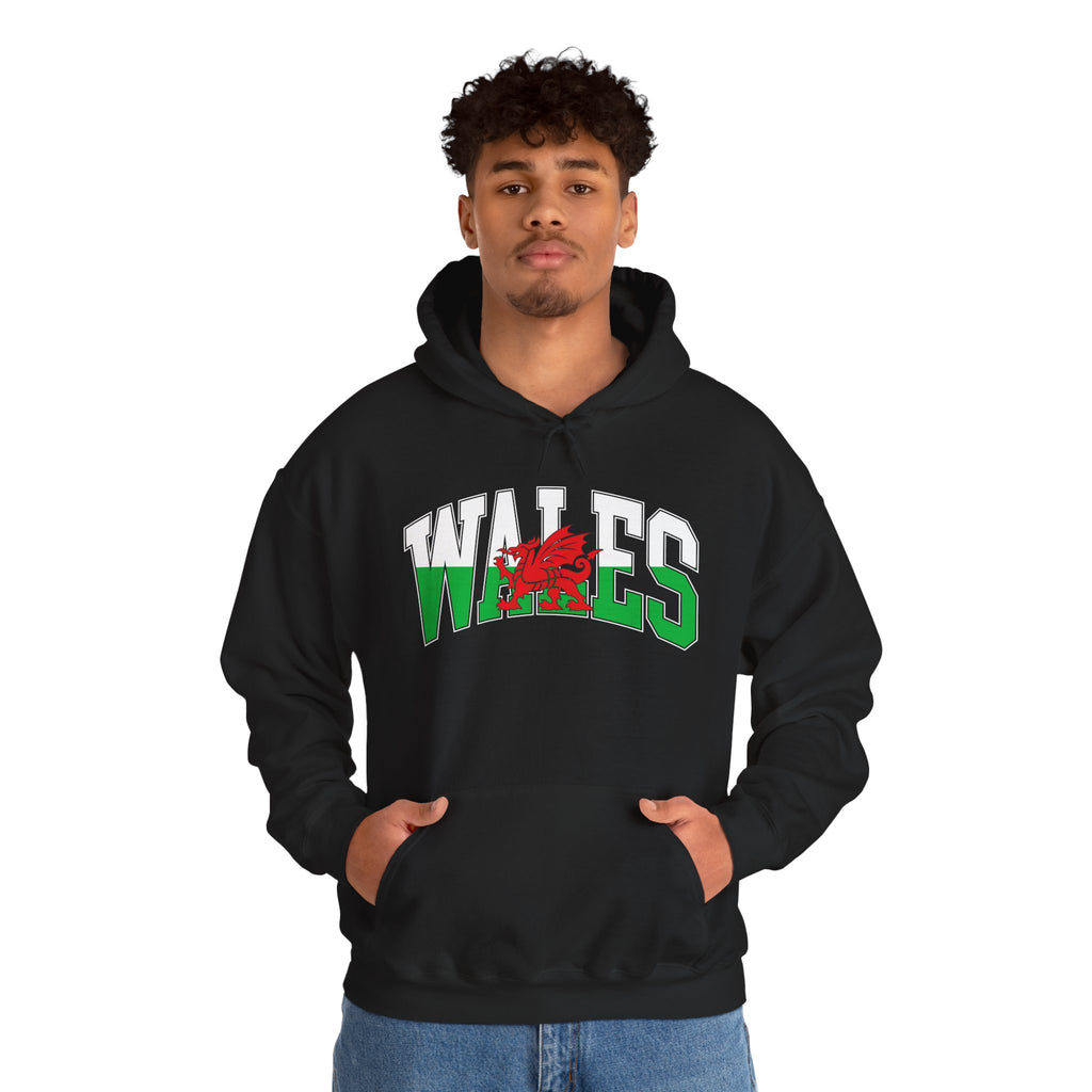 Wales Retro Logo — Bold City Pride Pullover