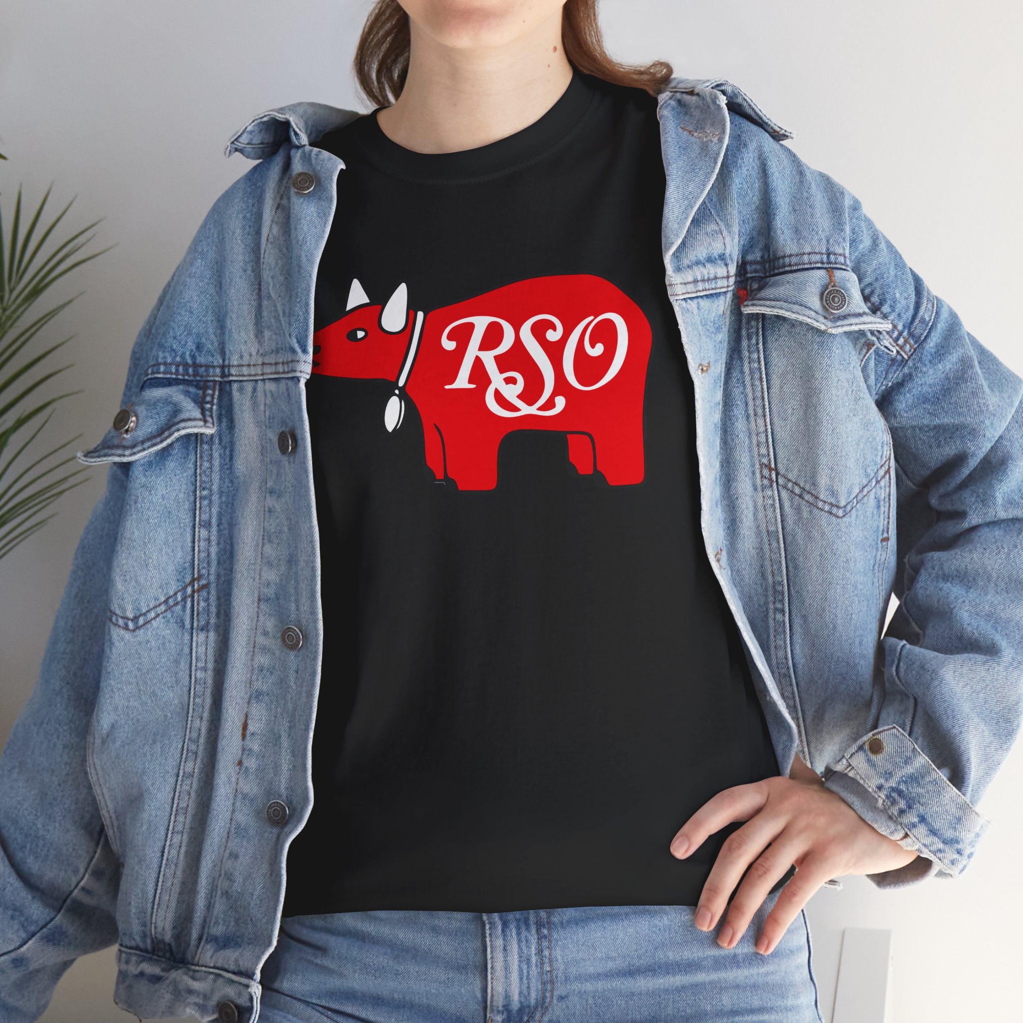 RSO Logo retro