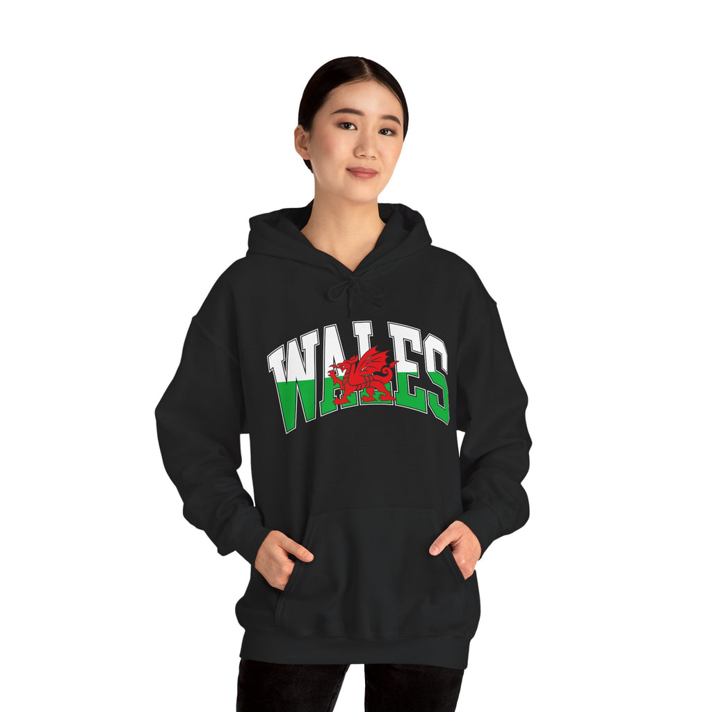 Wales Retro Logo — Bold City Pride Pullover