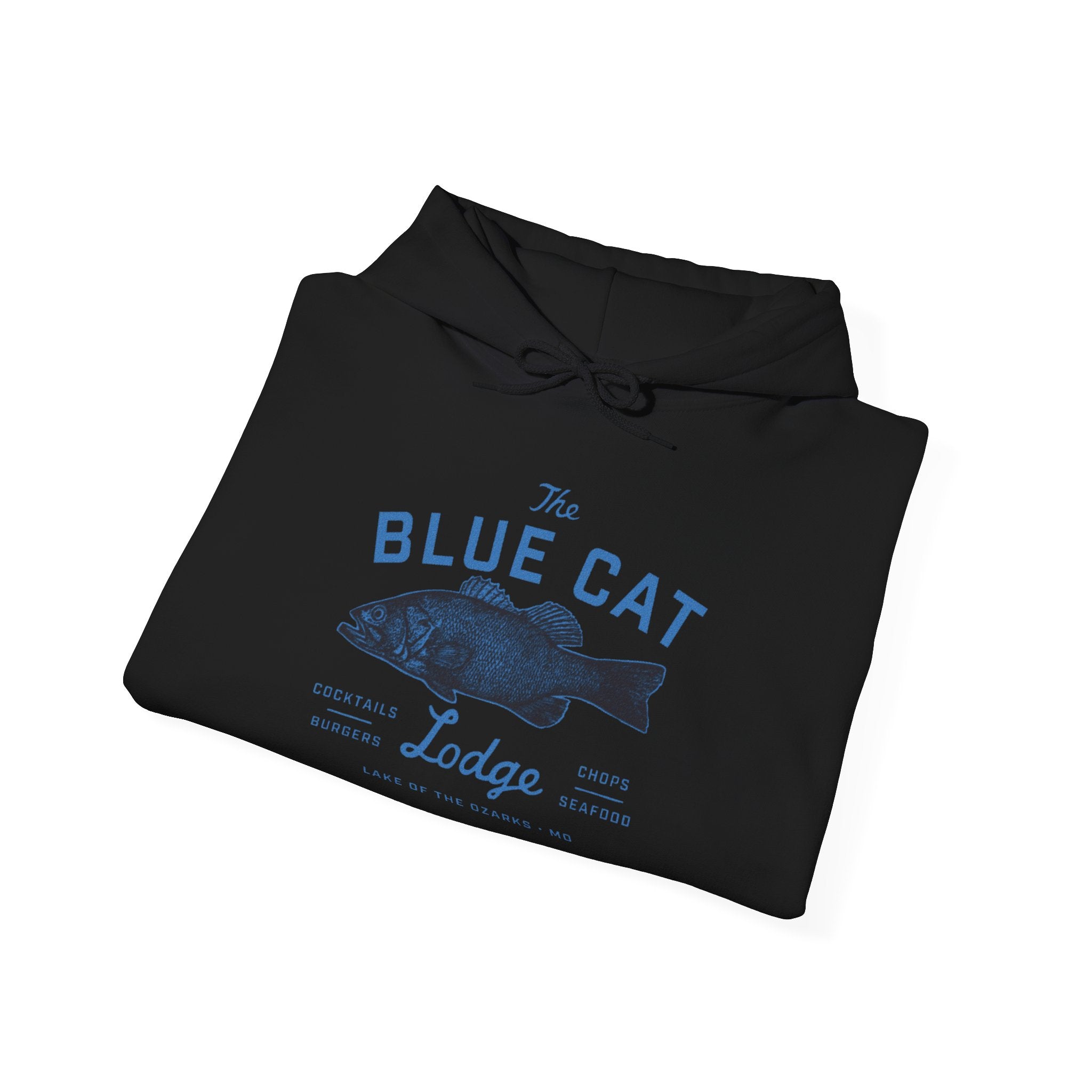 Blue Cat Ozark Movie Logo — Bold City Pride Pullover