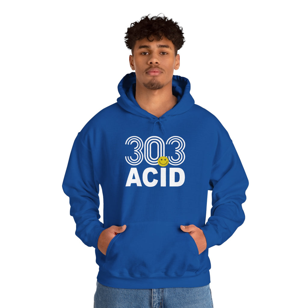 303 Acid House Music Retro Logo — Bold City Pride Pullover